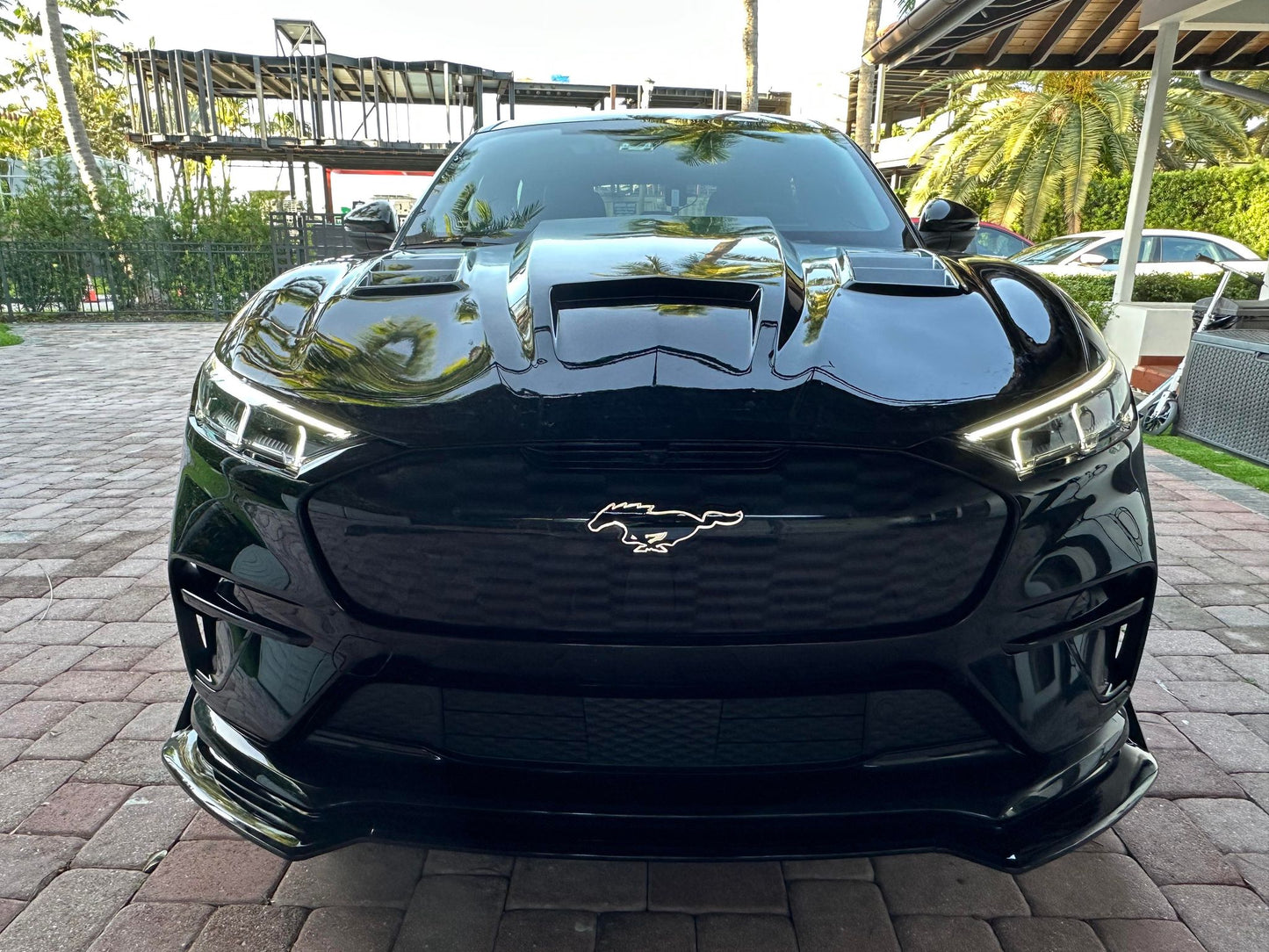 ANIMAL with vents