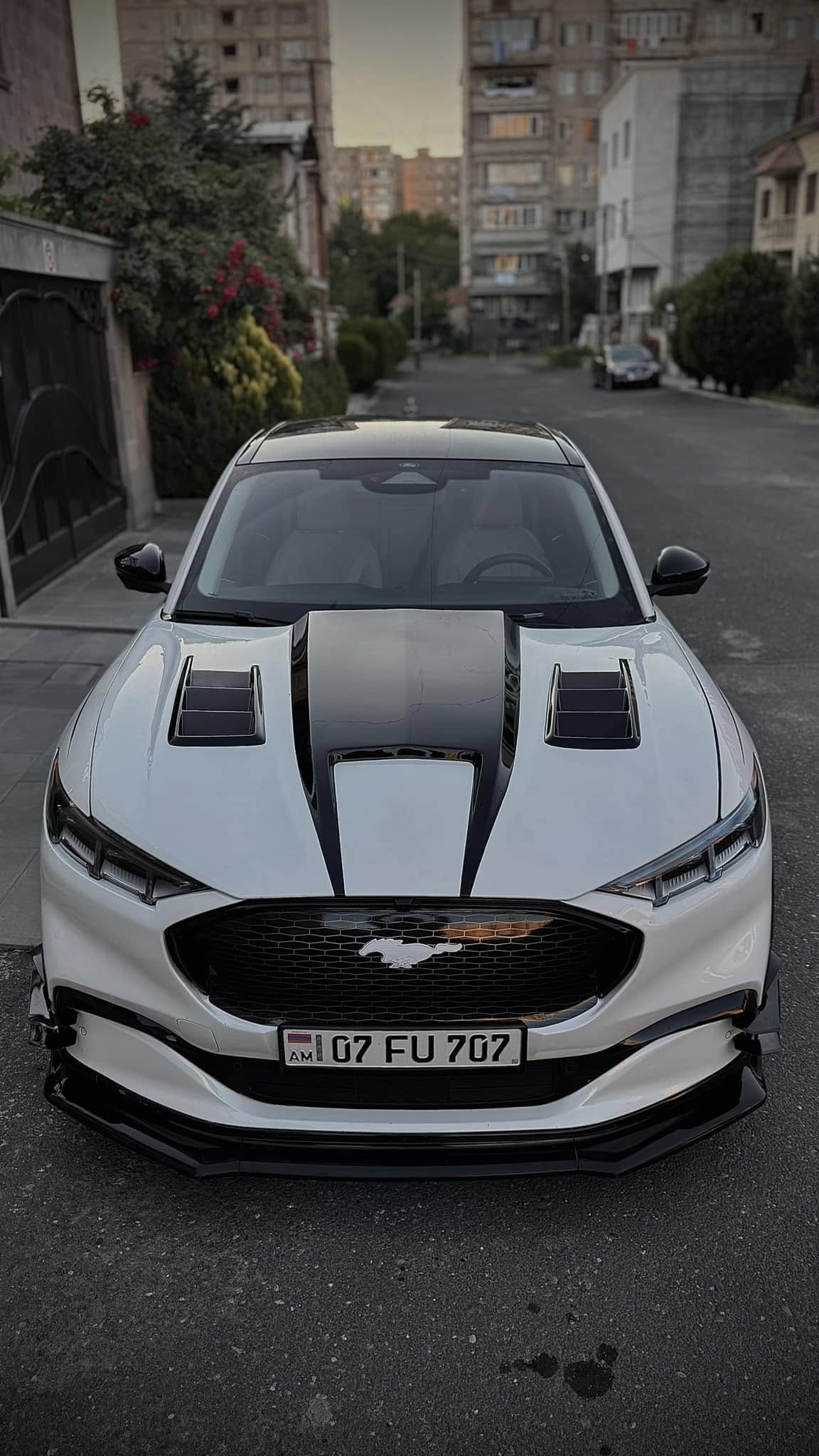 NEW:  ANIMAL WITH VENTS