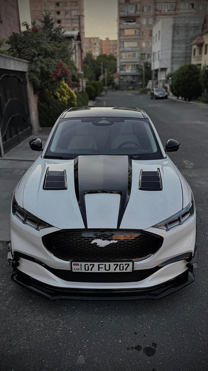 NEW:  ANIMAL WITH VENTS