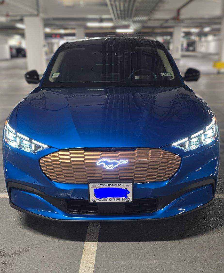 3D grill kit for Mustang Mach-E front-end upgrade with modular design and authentic fit