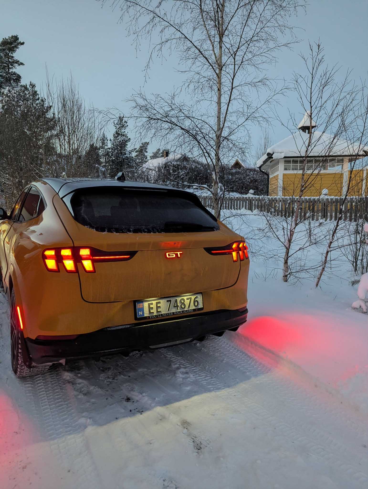 ULTIMATE UNBRIDLED EXTENDED PACKAGE 2026 Mustang GT V2 Carbon Fiber Grille with Chrome Pony Emblem and GT Light