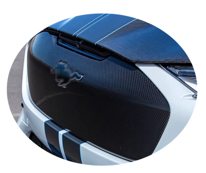 GT Grill V1 wet carbon fiber grille for 2021-2025 Mustang Mach-E GT/GTPE in carbon fiber finish