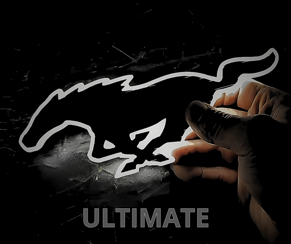 ULTIMATE FRONT PONY 2026 light-up Mustang Mach-E emblem with LED technology and lifetime warranty